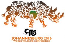 180 nations tentent de sauver les espèces menacées