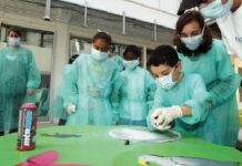 Un tiers des petits patients de l’hôpital d’enfants de La Réunion sont Mahorais