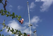 Journée nationale pour la qualité de l’air: Inquiétude sur le niveau de particules fines à Kawéni