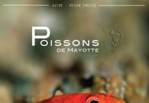 «Poissons de Mayotte»: Marc Allaria à la Maison des livres ce samedi matin