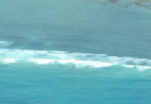 Un policier décède par noyade