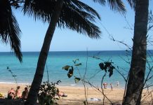 Coopération régionale, le dur chemin de Mayotte vers l'éco-tourisme