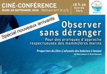 Nouveaux arrivants, le Parc naturel marin vous informe sur l’observation des richesses du lagon