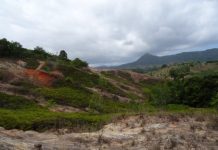 Projet de reboisement des padzas: un séminaire au cinéma Alpa Joe