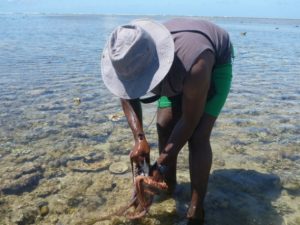 La pêche au poulpe sur Petite Terre (Photo: Karani Andaza/Aires marines protégées)