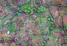 Des images de drones et de satellites au service de l’agriculture mahoraise