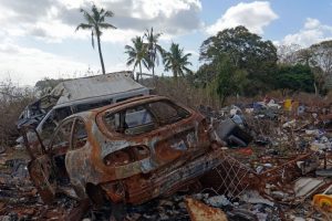 Carcasses et métaux lourds, en bordure du lagon