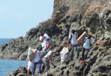 Îlot Mbouzi: Notre réserve naturelle nationale débarrassée de ses déchets