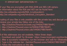 Internautes, attention aux virus informatiques qui veulent vous rançonner!