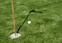 Quand le green devient vert