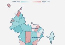 Primaire de la droite et du centre: Les résultats définitifs et la carte des bureaux de vote de Mayotte