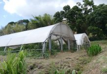 Tenir sans la PAC, ou comment résister sans finances depuis un an et demi