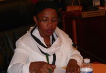 "Tout sauf Armamie" ce matin en plénière du département