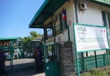 Dix tonnes d’arachides en provenance de Madagascar détruites par la DAAF