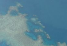 Consultation du public sur la stratégie pour la mer et le littoral du bassin maritime Sud Océan Indien