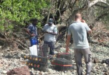 Réserve naturelle de l’îlot Mbouzi: Une opération de dératisation et un démantèlement d’un campement de voleurs