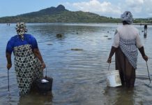Réouverture de la pêche aux poulpes à Mbouanatsa: La réussite de la 1ère expérimentation