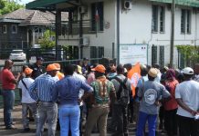 Chambre d’agriculture : Un manque d’anticipation généralisé