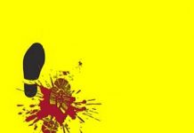 Vos sports co' et les préparatifs du 1er trail urbain de Mayotte: Un weekend de sport à Mayotte