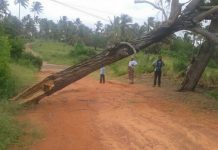 L’ex-cyclone Dineo fait au moins un mort au Mozambique