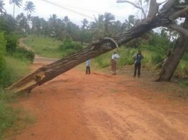 L’ex-cyclone Dineo fait au moins un mort au Mozambique