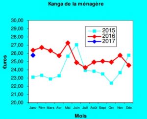 Kanga de la ménagère de la DAAF Mayotte pour le mois de janvier 2017 (Source: DAAF)