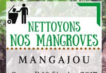 Nettoyons nos mangroves: Opération à Mangajou-Chiconi ce samedi