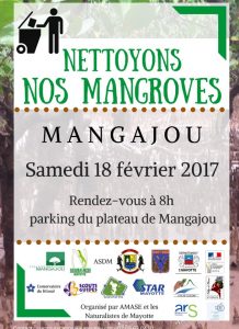 Mangajou Nettoyage des mangroves 18 2 17