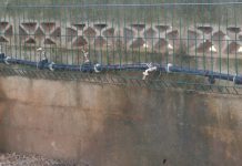 Covid-19 : les solutions de Médecins du Monde pour l’accès à l’eau des ménages précaires