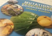 L’Europe : Quel bilan pour Mayotte