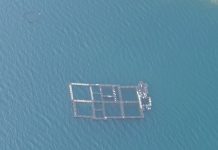 Aquaculture : Nouveau coup dur pour la société Aqua-Mater