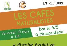 Tout savoir sur les reptiles et amphibiens de Mayotte: Un Café-Naturalistes ce vendredi soir