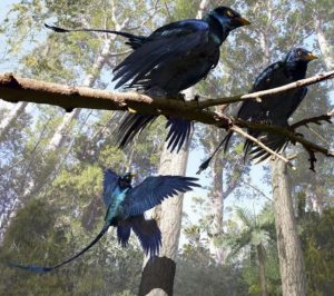 La reconstitution du microraptor découvert en Chine, avec ses deux paires d'ailes (©Jason Brougham)