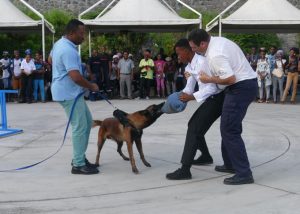 L’impressionnante démonstration du maître chien