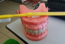 Santé bucco-dentaire: ce samedi 1er avril, toutes les infos pour prendre de bonnes habitudes pour vos dents