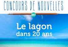 Festival de l’image sous-marine 2017: lancement du concours de nouvelles pour les élèves comme les adultes