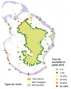 Taux de mortalité suite à l'épisode de blanchissement de 2016 (Source: PNM)