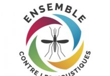 Lutte contre le paludisme: un concours de créations pour la Journée mondiale