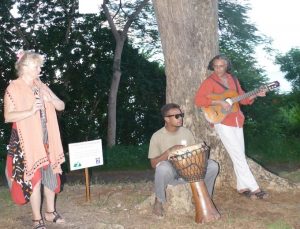 Inauguration en musique de l'Arbre de Paix