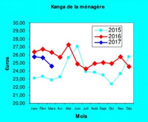 Kanga de la ménagère en mars 2017