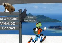 Run des tortues: 345 athlètes à l’arrivée du trail de Petite Terre