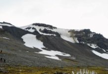 Antarctique : le continent blanc devient de plus en plus vert
