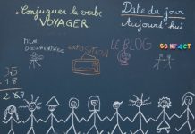 Coronavirus : mise en place d’une école buissonnière encadrée