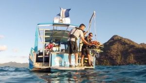 Flipper est relié au bateau à la surface où les scientifiques le guident (Photo: Bruno Garel / CNRS / AFB / Université de Montpellier)