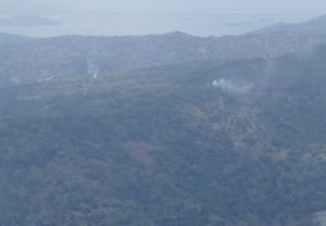 Ça et là, des brûlis trouent le couvert forestier