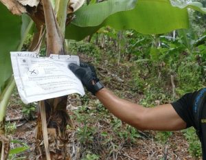 Affiche d'avertissement des amendes encourues en cas de déforestation