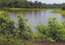 Crise de l’eau : les vraies bonnes questions du CESEM