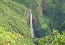 Des rencontres inter-DOM sur la biodiversité se tiennent à Mayotte