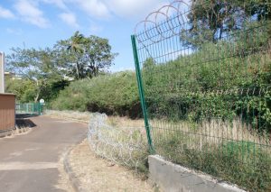 Le barbelé concertina pousse plus vite que l'herbe à Mayotte