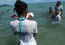 Enseignants, le lagon n’attend que vous